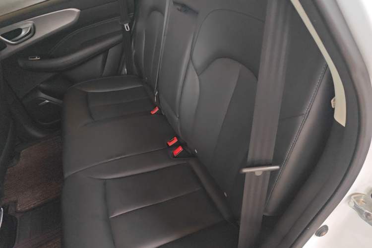 Used Roewe RX5 2020 PLUS 300TGI Automatic Ali National Style Luxury Edition Left Rear Seat