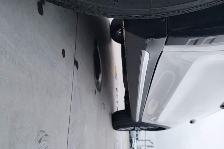 Used Roewe RX5 2020 20T Manual 4G Connect Super-Luxury Flagship Edition Left Side Sill