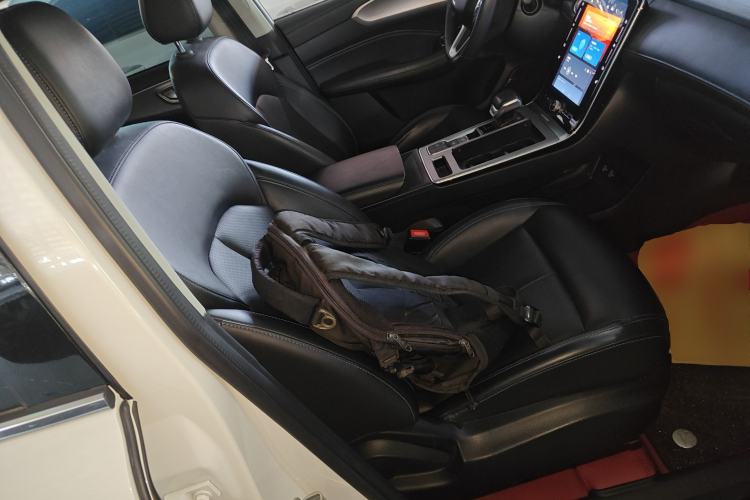 Used Roewe RX5 2020 PLUS 300TGI Automatic Ali National Style Luxury Edition Right Front Seat
