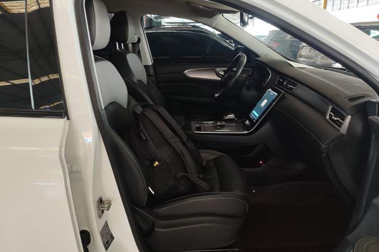 Used Roewe RX5 2020 PLUS 300TGI Automatic Ali National Trend Flagship Edition Right Front Seat
