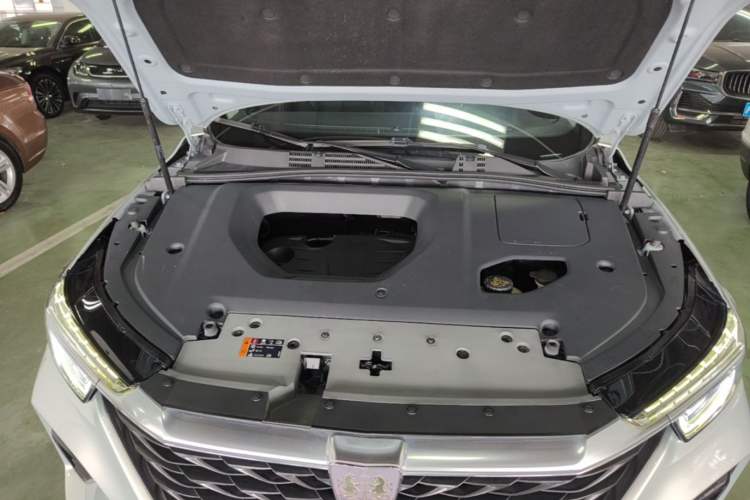 Used Roewe RX5 2020 PLUS 300TGI Automatic Ali National Trend Flagship Edition Engine Bay