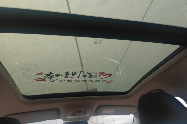 Used Roewe RX5 2020 20T Manual 4G Connect Million Edition Headliner