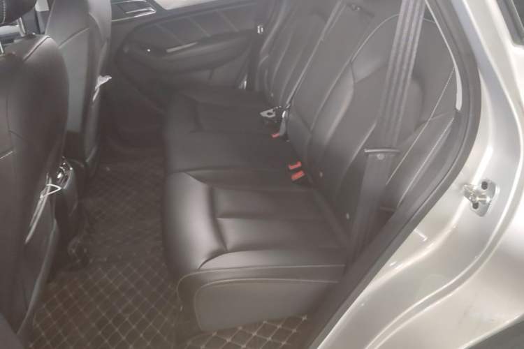Used Roewe RX5 2020 20T Automatic 4G Connect Superior Flagship Edition Left Rear Seat