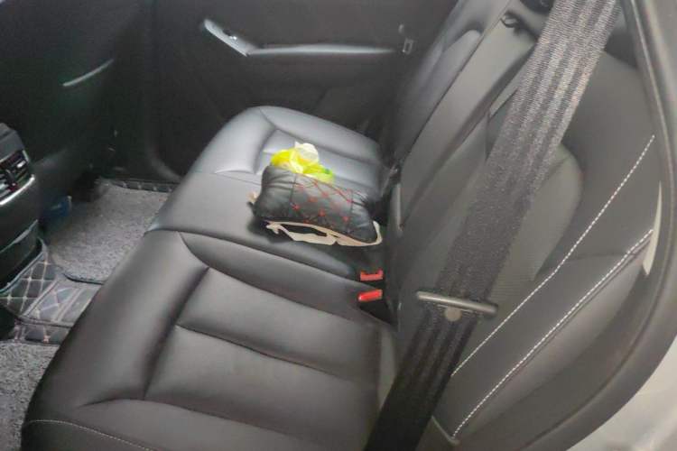 Used Roewe RX5 2020 20T Automatic 4G Connect Superior Flagship Edition Left Rear Seat