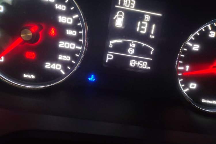 Used Roewe RX5 2020 20T Automatic 4G Connect Superior Flagship Edition Odometer Close Up