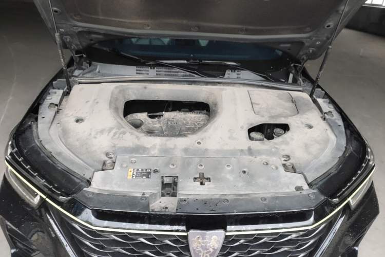 Used Roewe RX5 2021 PLUS 300TGI Automatic Ali National Trend Flagship Ronglin Edition Engine Bay