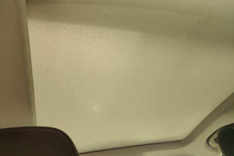 Used Roewe RX5 2021 PLUS 330TGI Automatic National Trend Intelligent Deluxe Edition Headliner