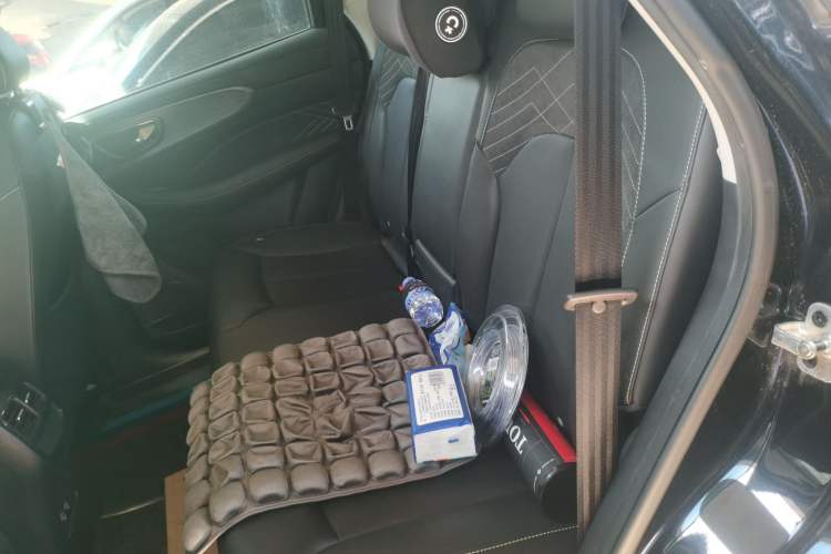 Used Roewe RX5 2021 PLUS 300TGI Automatic Ali National Trend Flagship Ronglin Edition Left Rear Seat