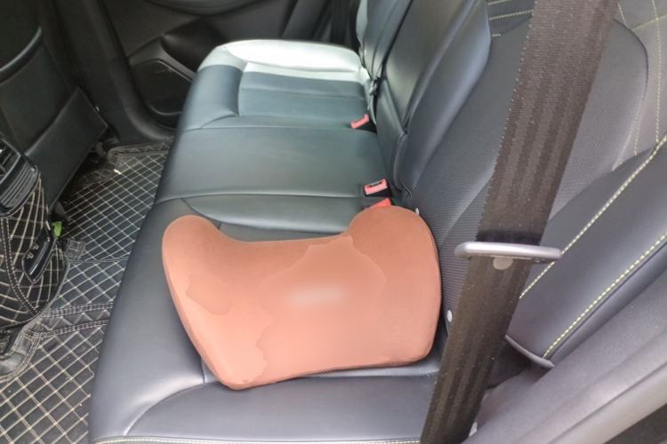 Used Roewe RX5 2021 PLUS 330TGI Automatic National Trend Intelligent Deluxe Edition Left Rear Seat