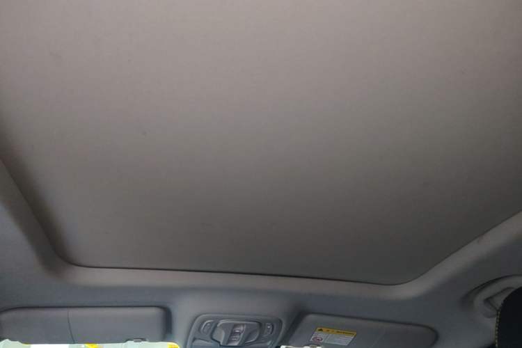 Used Roewe RX5 2021 PLUS 330TGI Automatic National Trend Intelligent Deluxe Edition Headliner