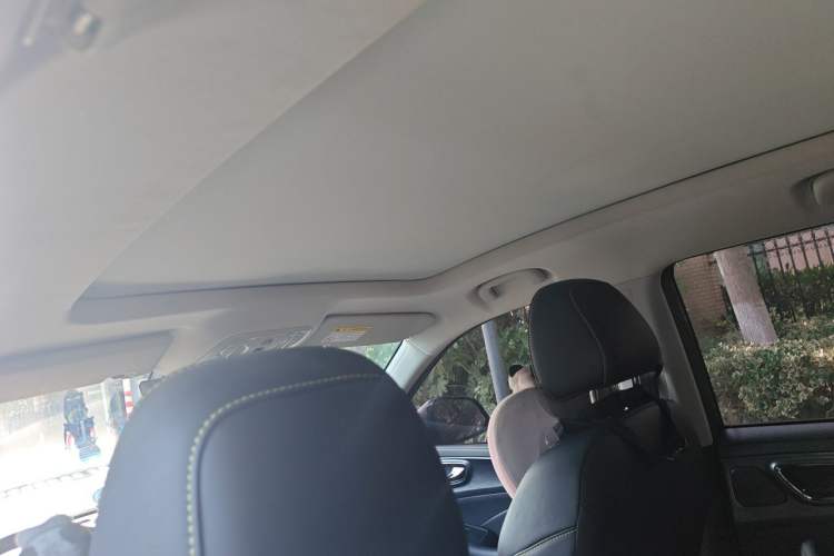 Used Roewe RX5 2021 PLUS 330TGI Automatic National Trend Intelligent Deluxe Edition Headliner