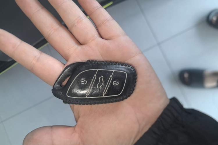 Used Roewe RX5 2021 PLUS 330TGI Automatic National Trend Intelligent Deluxe Edition Interior 1