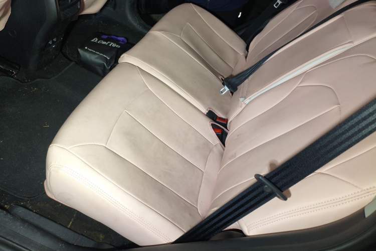 Used Roewe RX5 2021 PLUS 330TGI Automatic National Trend Intelligent Deluxe Edition Left Rear Seat