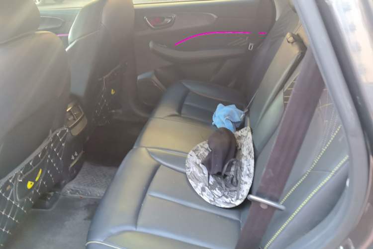 Used Roewe RX5 2021 PLUS 330TGI Automatic National Trend Intelligent Deluxe Edition Left Rear Seat