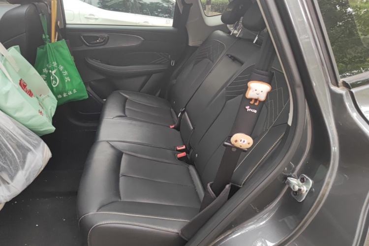 Used Roewe RX5 2021 PLUS 330TGI Automatic National Trend Intelligent Deluxe Edition Left Rear Seat