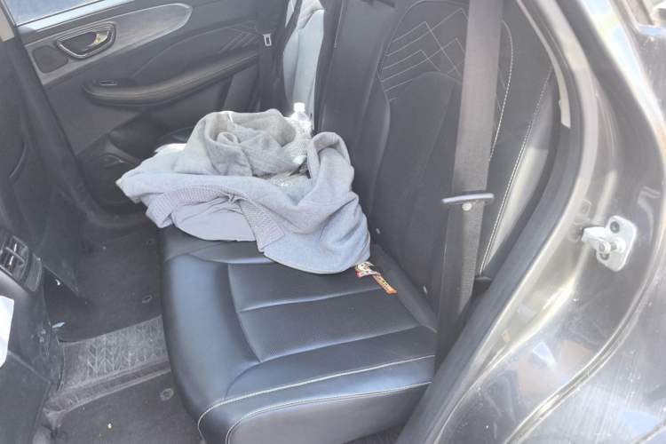 Used Roewe RX5 2021 PLUS 330TGI Automatic National Trend Intelligent Deluxe Edition Left Rear Seat