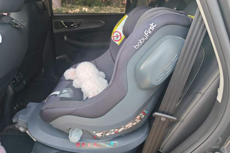 Used Roewe RX5 2021 PLUS 330TGI Automatic National Trend Intelligent Deluxe Edition Left Rear Seat