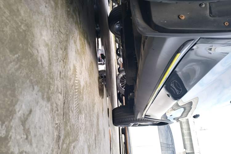 Used Roewe RX5 2021 PLUS 330TGI Automatic National Style Smart Enjoyment Edition Left Side Sill