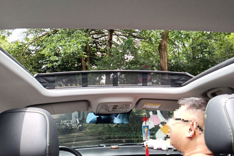 Used Roewe RX5 2021 PLUS 330TGI Automatic National Trend Intelligent Deluxe Edition Headliner