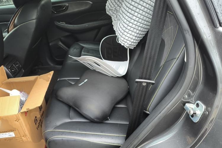 Used Roewe RX5 2021 PLUS 330TGI Automatic National Trend Intelligent Deluxe Edition Left Rear Seat