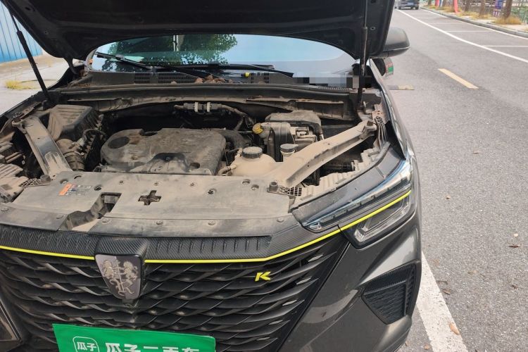 Used Roewe RX5 2021 PLUS 330TGI Automatic National Style Smart Enjoyment Edition Engine Bay Left