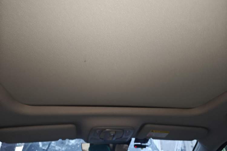 Used Roewe RX5 2021 PLUS 330TGI Automatic National Trend Intelligent Deluxe Edition Headliner
