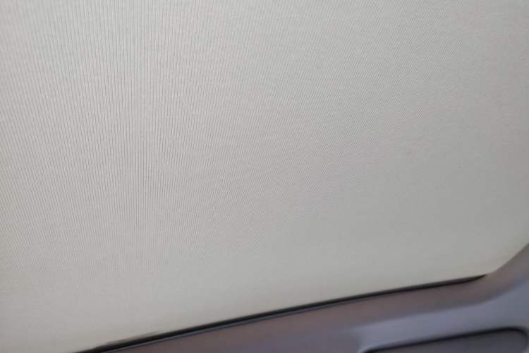 Used Roewe RX5 2021 PLUS 330TGI Automatic National Style Smart Enjoyment Edition Headliner