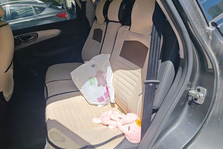 Used Roewe RX5 2021 PLUS 330TGI Automatic National Style Smart Enjoyment Edition Left Rear Seat
