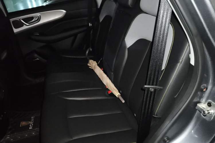 Used Roewe RX5 2021 PLUS 300TGI Automatic Ali National Trend Flagship Ronglin Edition Left Rear Seat