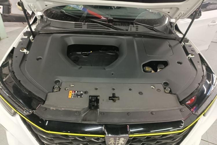 Used Roewe RX5 2021 PLUS 300TGI Automatic Ali National Trend Flagship Ronglin Edition Engine Bay
