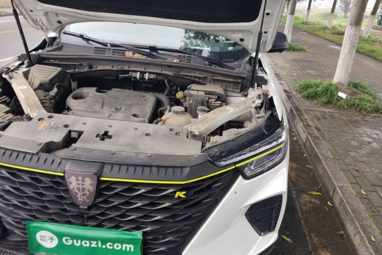Used Roewe RX5 2021 PLUS 330TGI Automatic National Trend Intelligent Deluxe Edition Engine Bay Left