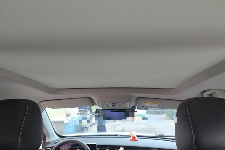 Used Roewe RX5 2021 PLUS 330TGI Automatic National Trend Intelligent Deluxe Edition Headliner
