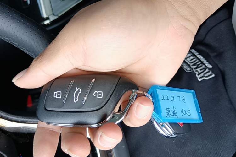 Used Roewe RX5 2021 PLUS 330TGI Automatic National Trend Intelligent Deluxe Edition Interior 1