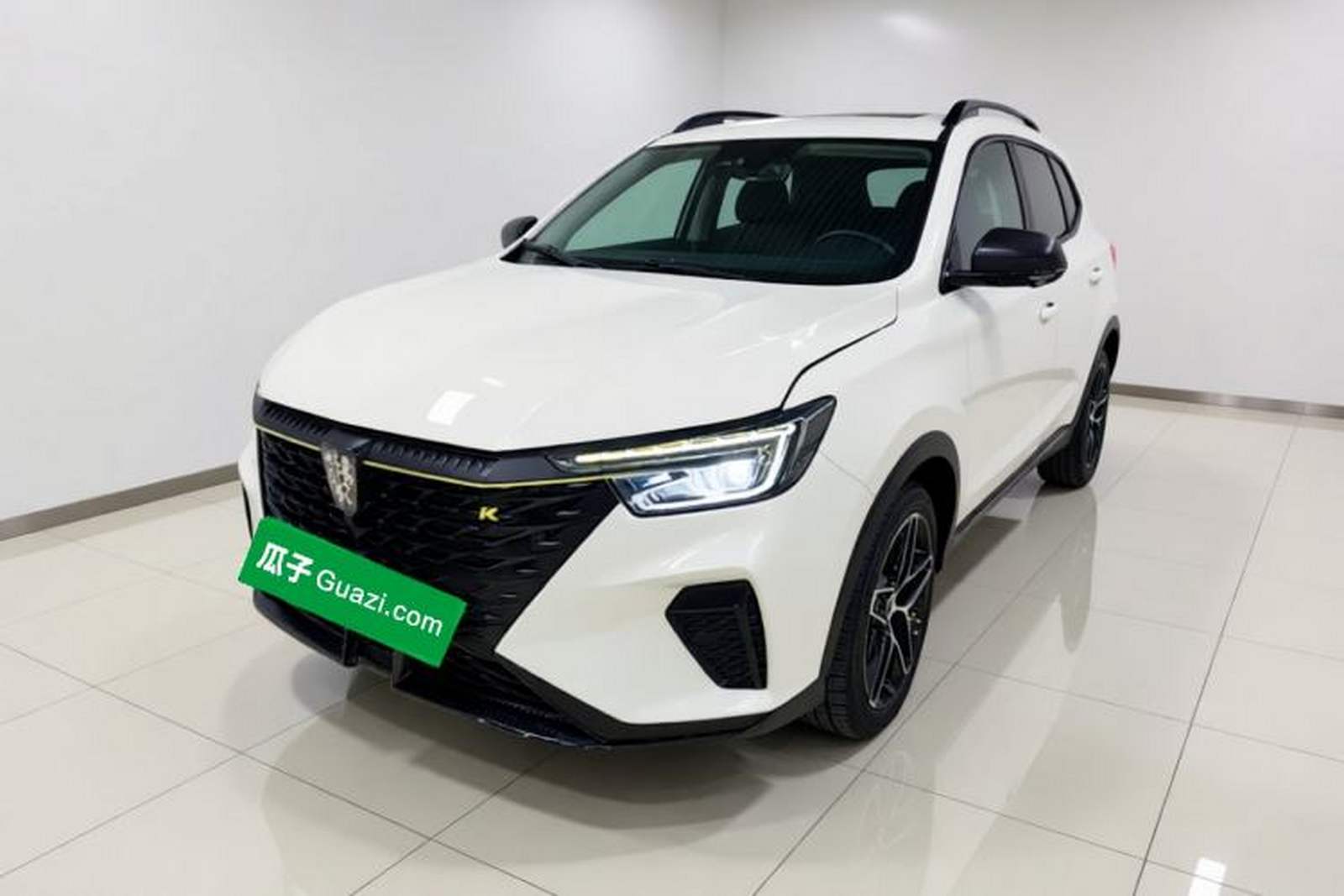 Фото Roewe с площадки