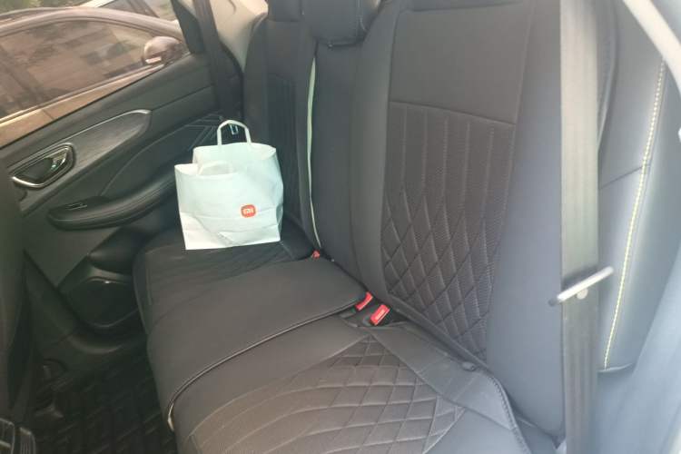 Used Roewe RX5 2021 PLUS 330TGI Automatic National Trend Intelligent Deluxe Edition Left Rear Seat