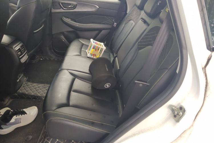 Used Roewe RX5 2021 PLUS 330TGI Automatic National Trend Intelligent Deluxe Edition Left Rear Seat