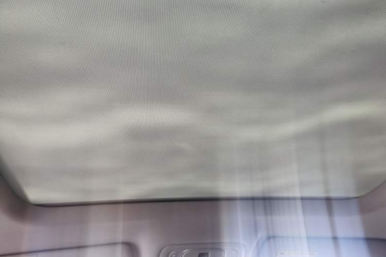 Used Roewe RX5 2022 330TGI Automatic National Style Edition Headliner