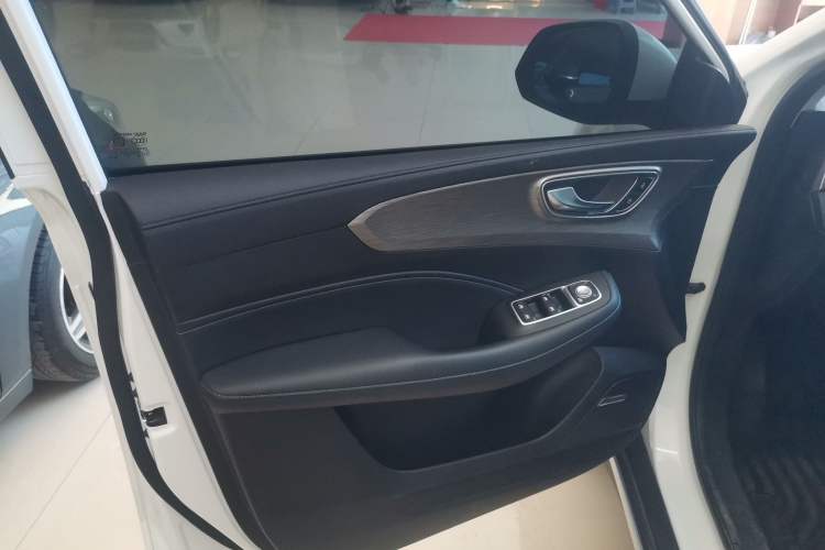 Used Roewe RX5 2022 330TGI Automatic National Style Edition Left Front Door Interior