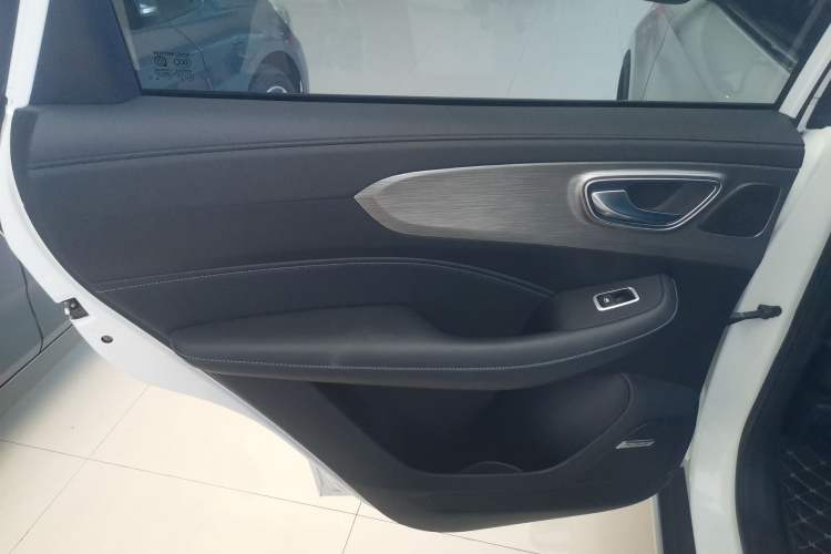 Used Roewe RX5 2022 330TGI Automatic National Style Edition Left Rear Door Interior
