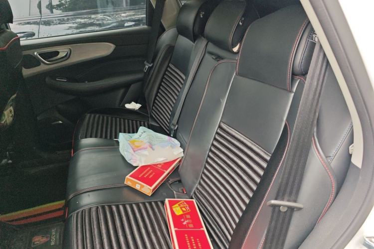 Used Roewe RX5 2022 330TGI Automatic National Style Edition Left Rear Seat