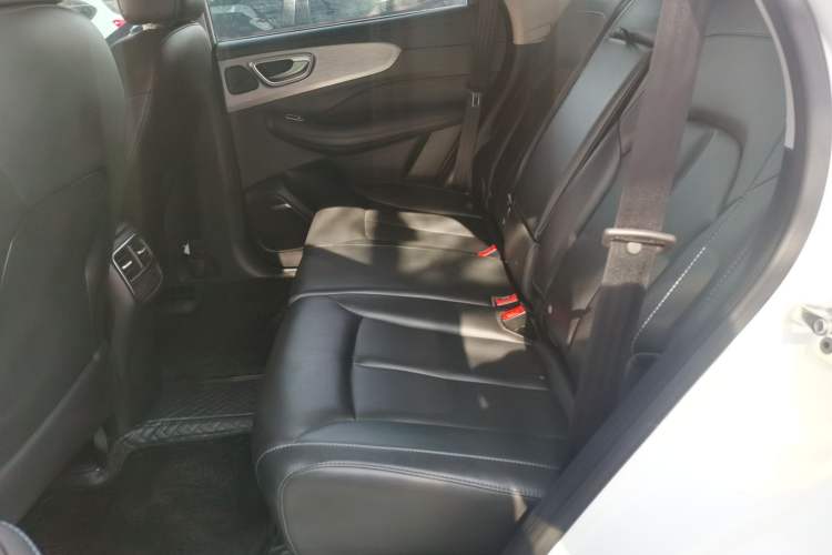 Used Roewe RX5 2022 330TGI Automatic National Style Edition Left Rear Seat