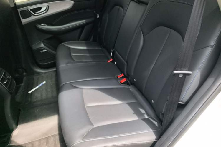 Used Roewe RX5 2022 330TGI Automatic National Style Edition Left Rear Seat