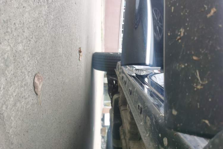 Used Roewe RX5 2023 1.5T Elite Edition Right Side Sill