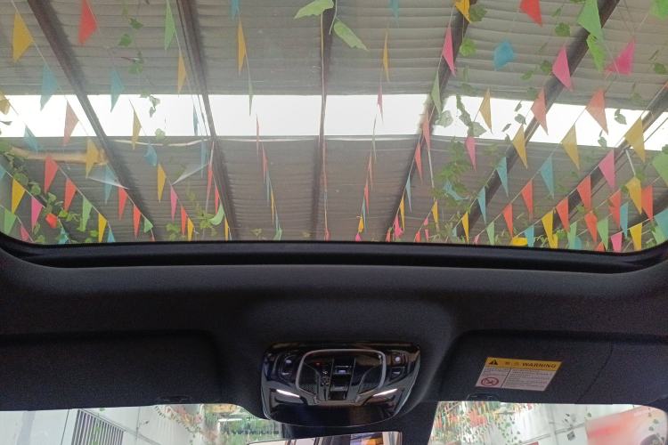Used Roewe RX5 2023 1.5T Luxury Sliding-Screen Version Headliner