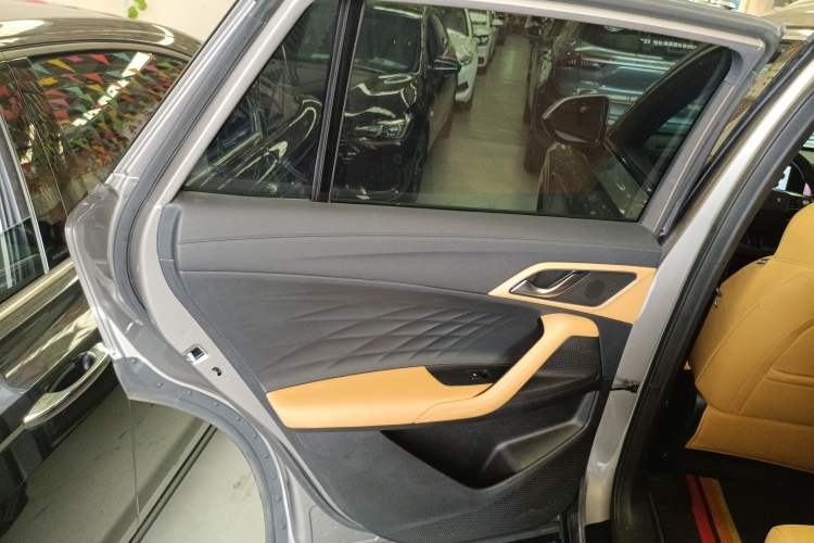 Used Roewe RX5 2023 1.5T Luxury Sliding-Screen Version Left Rear Door Interior