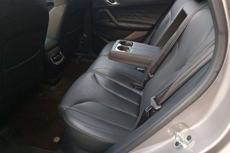 Used Roewe RX5 2023 1.5T Prestige Sliding-Screen Version Left Rear Seat