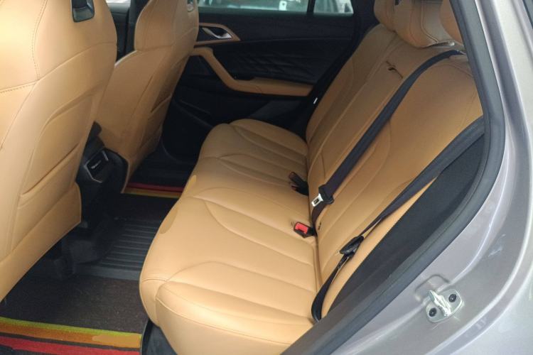 Used Roewe RX5 2023 1.5T Luxury Sliding-Screen Version Left Rear Seat