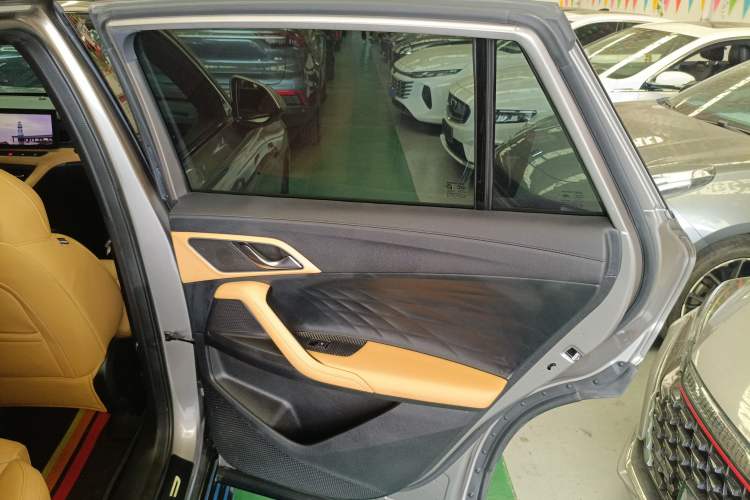 Used Roewe RX5 2023 1.5T Luxury Sliding-Screen Version Right Rear Door Interior