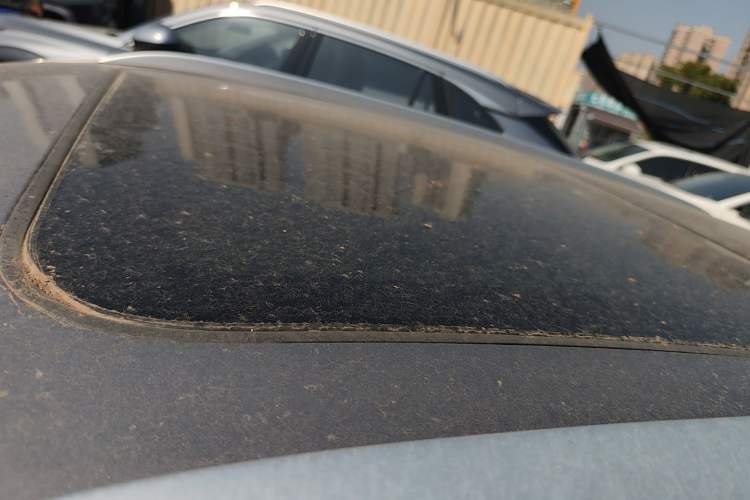 Used Roewe RX5 2023 1.5T Luxury Sliding-Screen Version Roof