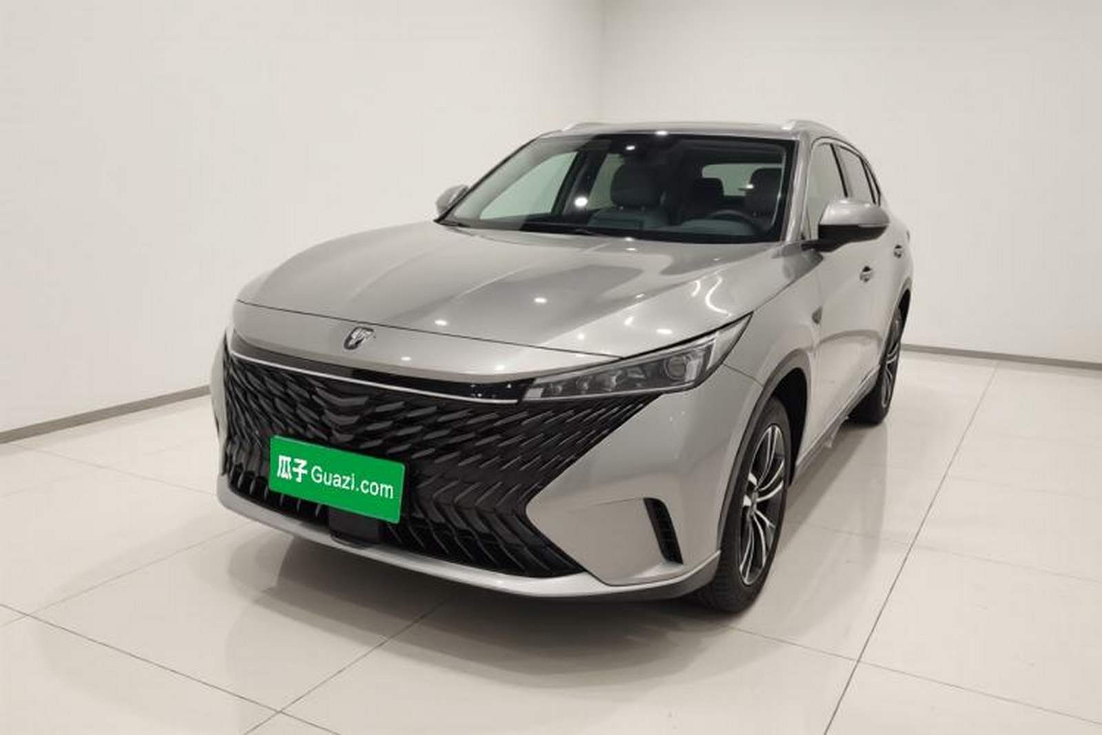 Фото Roewe с площадки